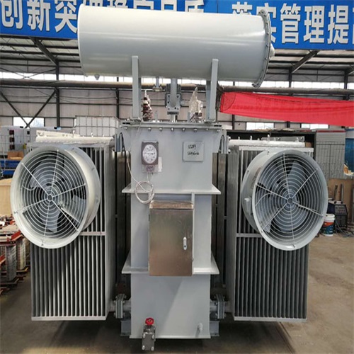 黔西南S22-8000KVA电力变压器